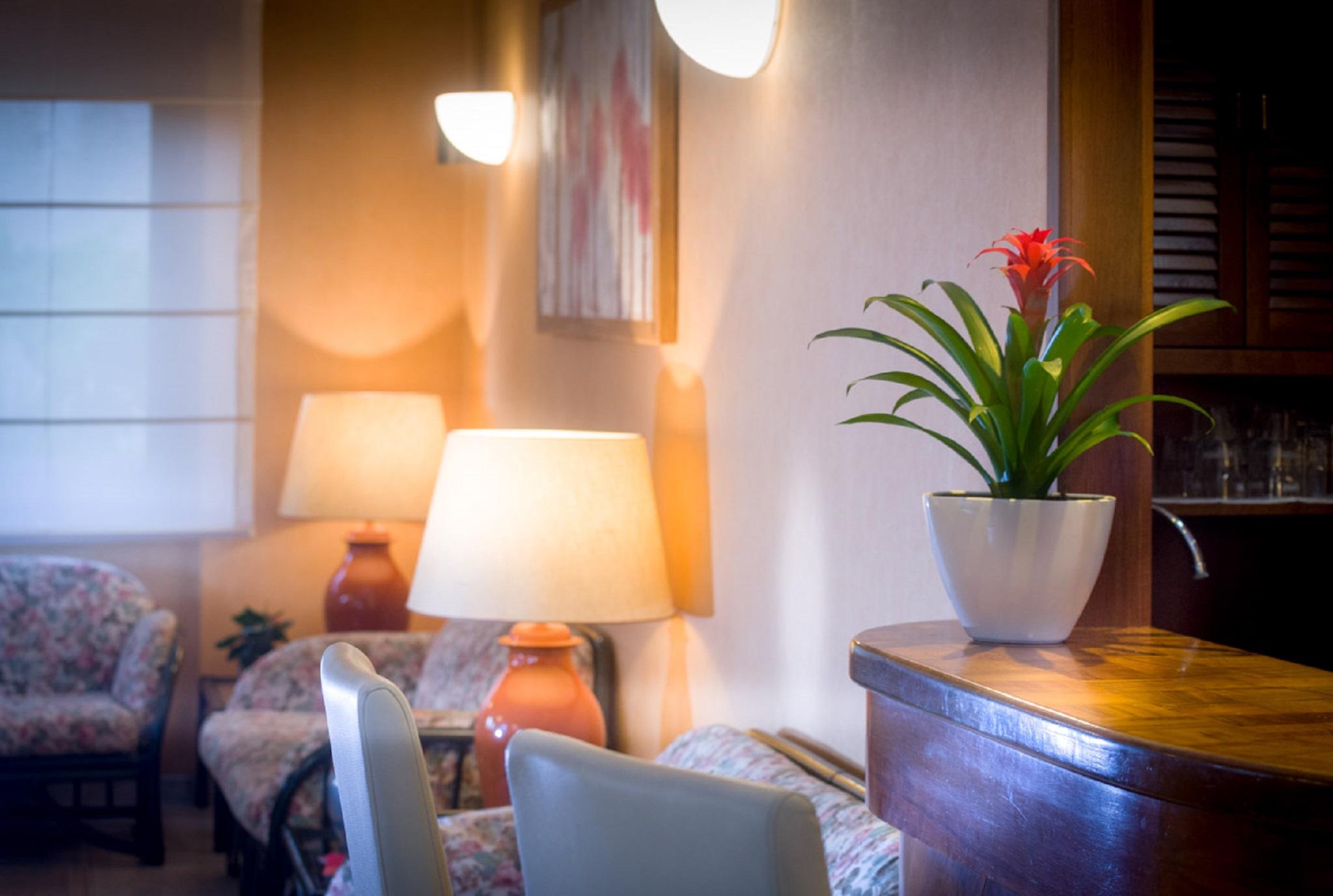 Hotel Des Alpes Rosta Eksteriør bilde