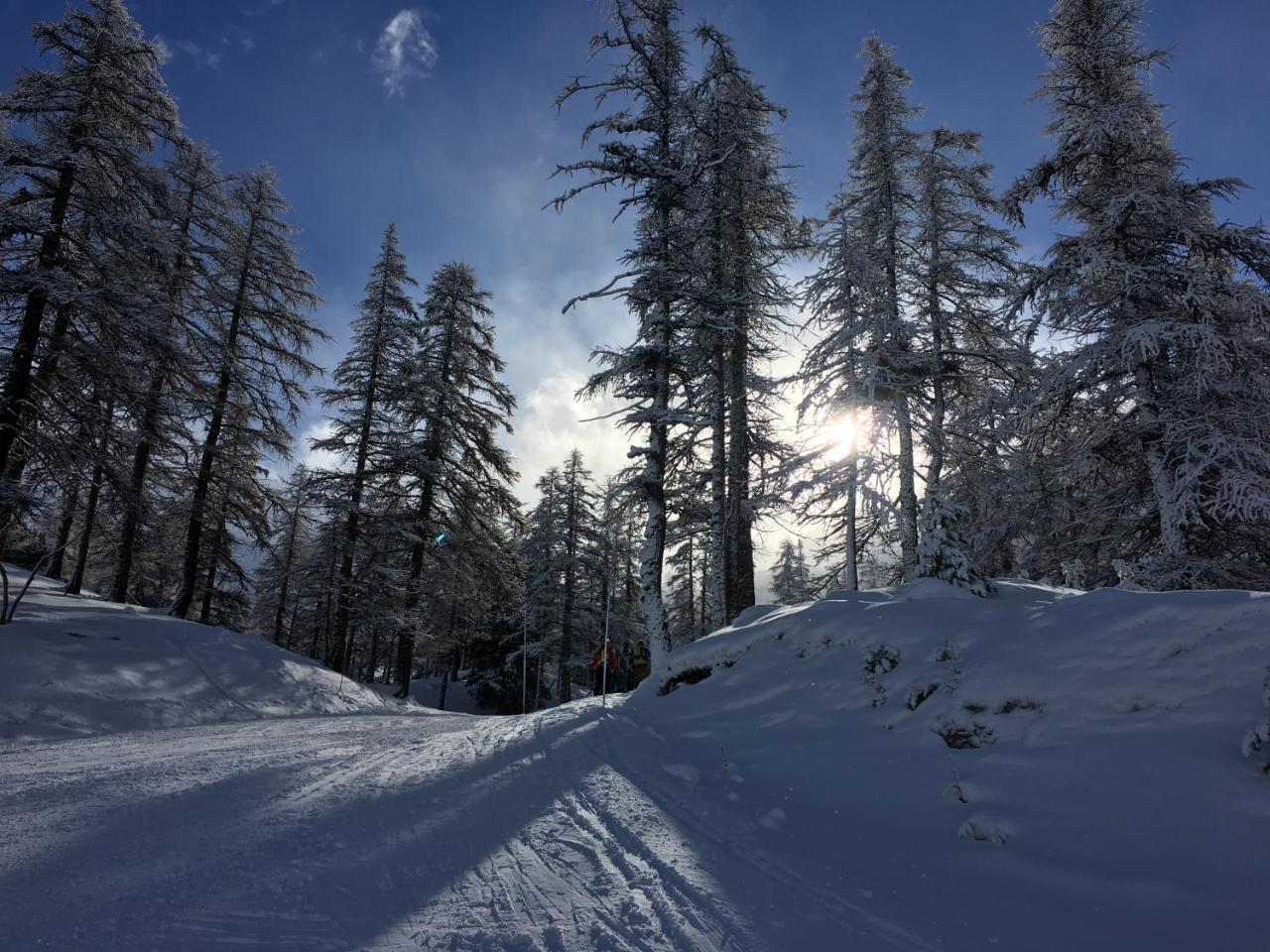 Hotel Des Alpes Rosta Eksteriør bilde